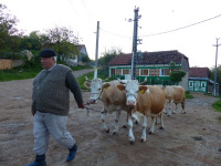 Rumunský Banát s Viktorom