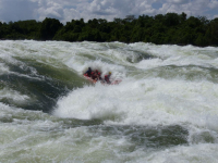 Uganda rafting