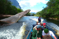 Venezuela 2011