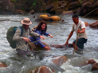 Venezuela 2011