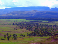 Venezuela 2011
