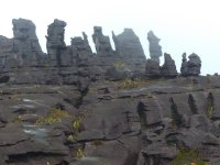 P1310086