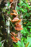 Venezuela apríl 2012
