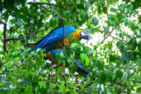 Venezuela apríl 2012