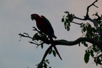 Venezuela apríl 2012
