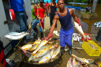 Venezuela apríl 2012