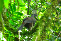 Venezuela apríl 2012