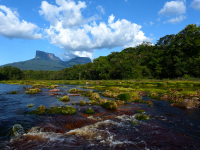 Venezuela december 2012