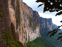 Venezuela december 2012