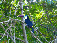 Venezuela december 2012