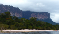 Venezuela február 2014