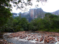 Venezuela február 2014