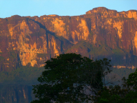Venezuela február 2014
