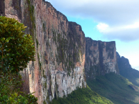 Venezuela február 2014