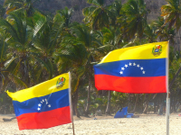 Venezuela február 2014
