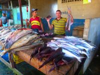 Venezuela november 2011