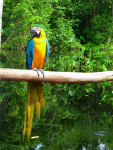 Venezuela november 2011