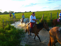 Venezuela november 2011