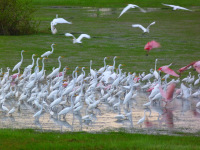 Venezuela november 2011