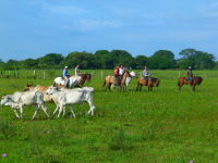 Venezuela november 2011