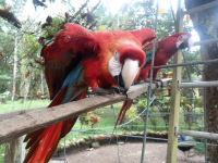 Venezuela november 2011