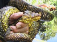 Venezuela pre rybárov a ornitologov