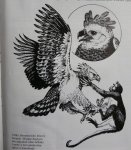Venezuela pre rybárov a ornitologov