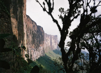 Venezuela