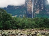 Vertikálna Amazónia I. - odmena vo vodách riečky Churún