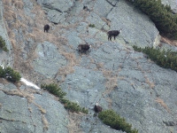 Vysoké Tatry 2012