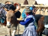 Z Bolívie do Ria - pre trekerov a horolezcov